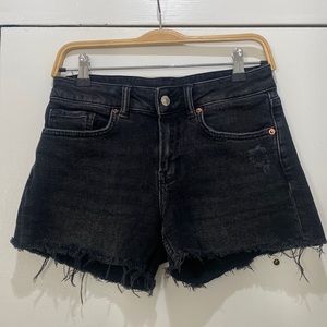 All Saints Mera Cutoff Short